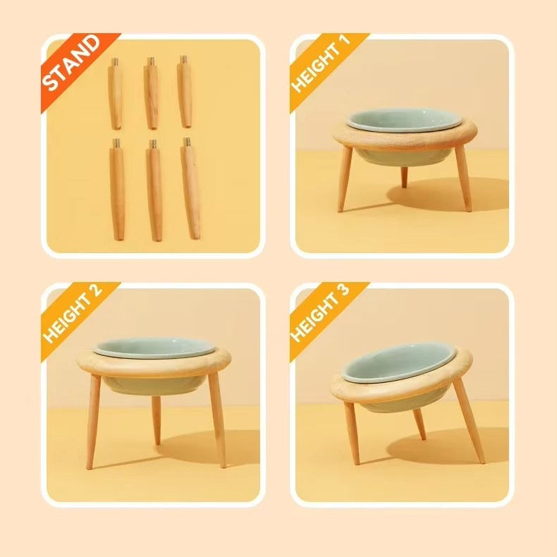 Stylish Tilted Ceramic Feeder