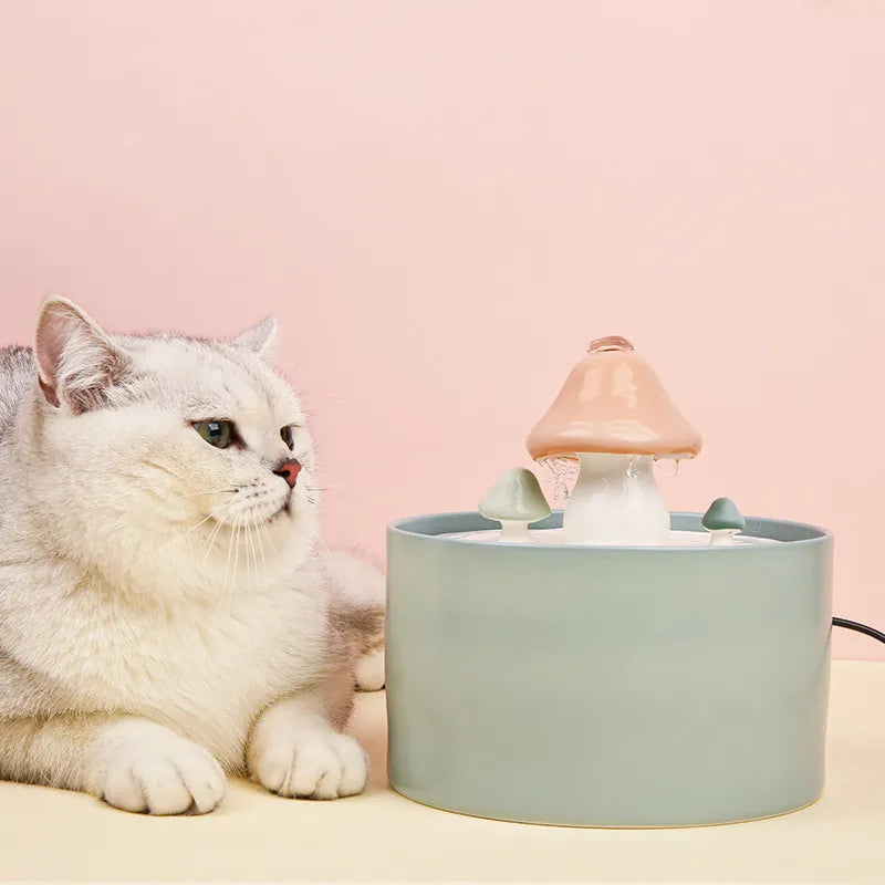 Cat Water Fountains