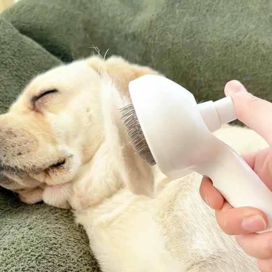 Purr-fect Mist 4-in-1 Steam Grooming Brush