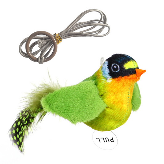 Engaging Interactive Cat Toy with Realistic Bird Sounds & Feathers