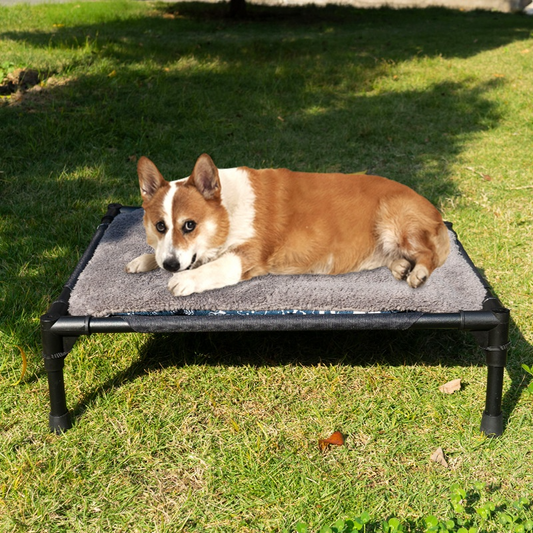 Outdoor Dog Canopy Bed