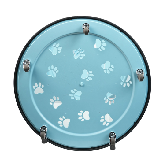 Clear View Rolling Cat Carrier for Adventurous Kitties