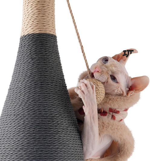 Unique Bottle-Shaped Sisal Scratching Post for Cats