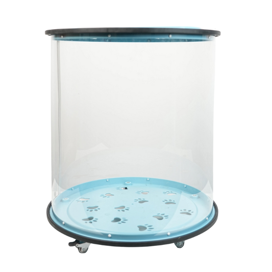 Clear View Rolling Cat Carrier for Adventurous Kitties