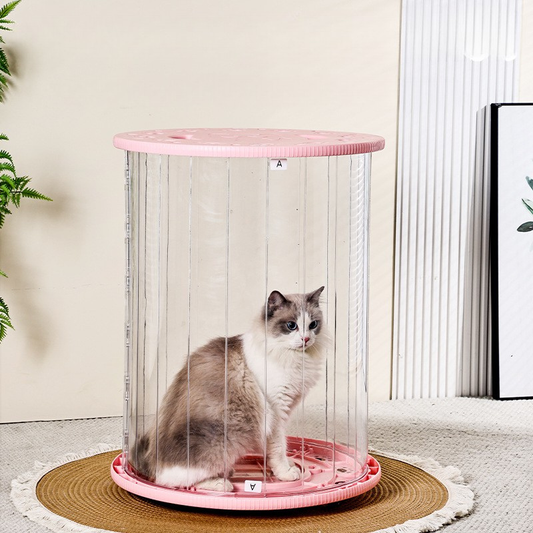 Clear View Rolling Cat Carrier for Adventurous Kitties