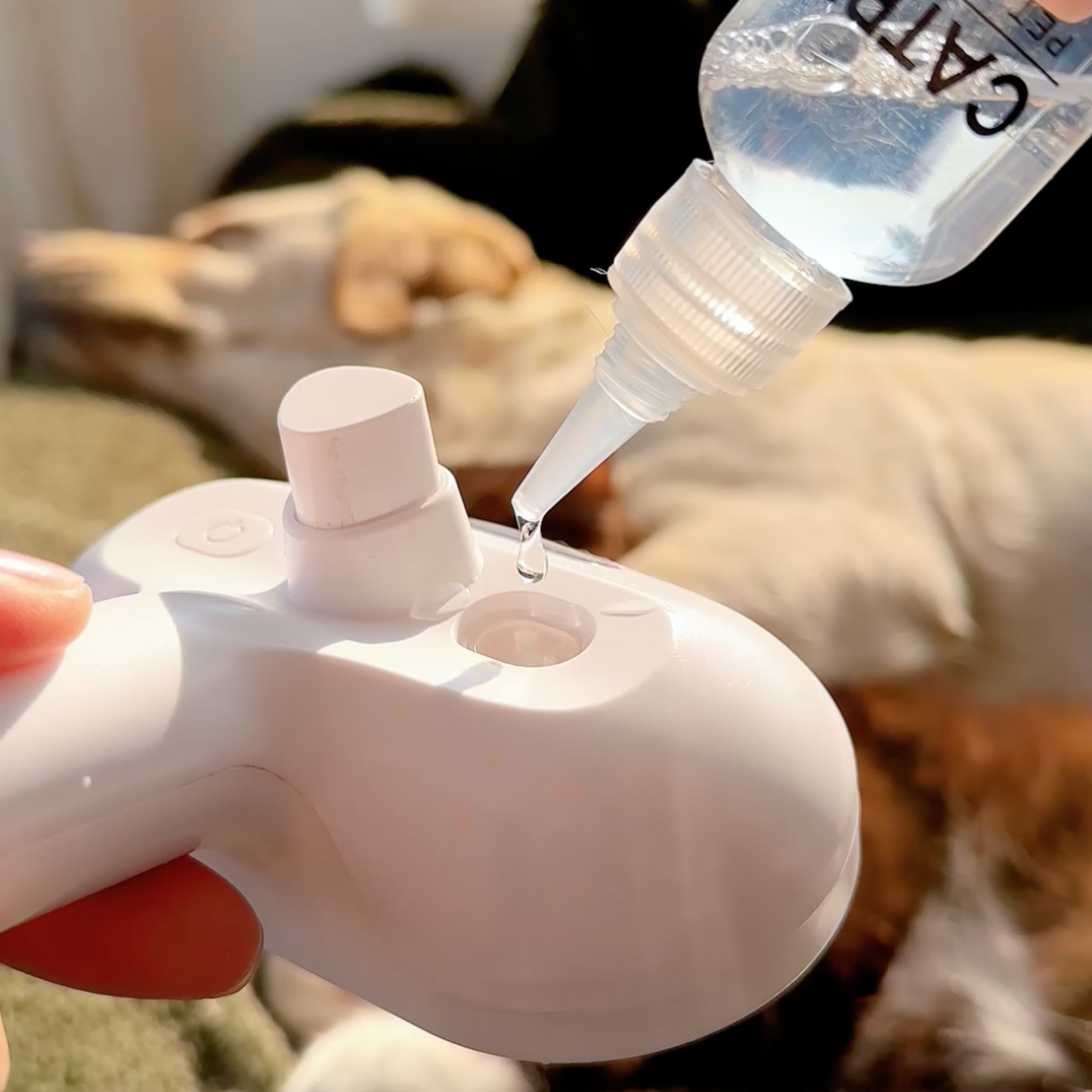 Purr-fect Mist 4-in-1 Steam Grooming Brush