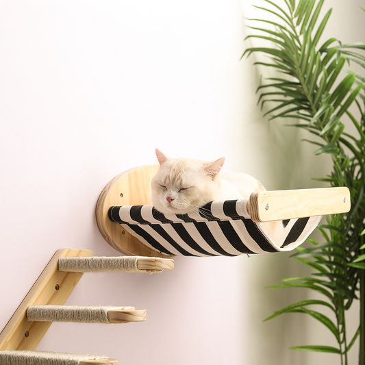Climb & Lounge Wall Cat Set