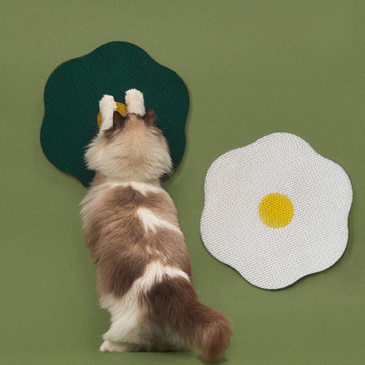 Blossom Cat Scratch and Play Toys