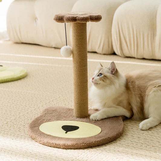Charming Space-Saving Cat Scratching Post & Toy