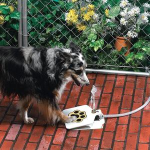 Paw Pump Outdoor Dog Water Fountain