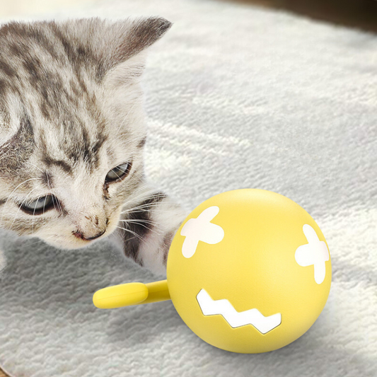 Interactive Self-Rolling Cat Toy for Endless Fun