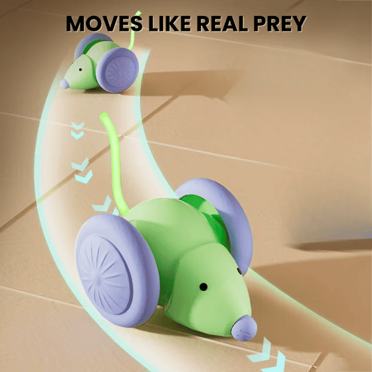 Zoomie Mouse Smart Cat Toy