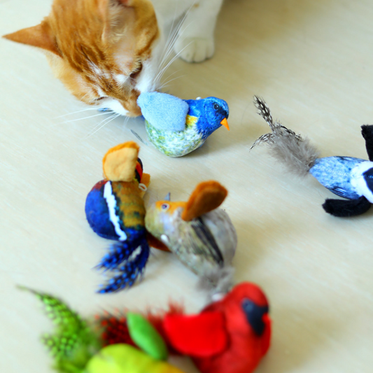 Engaging Interactive Cat Toy with Realistic Bird Sounds & Feathers