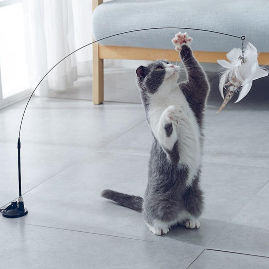 Interactive Feather Teaser Toy for Cats with Suction Base