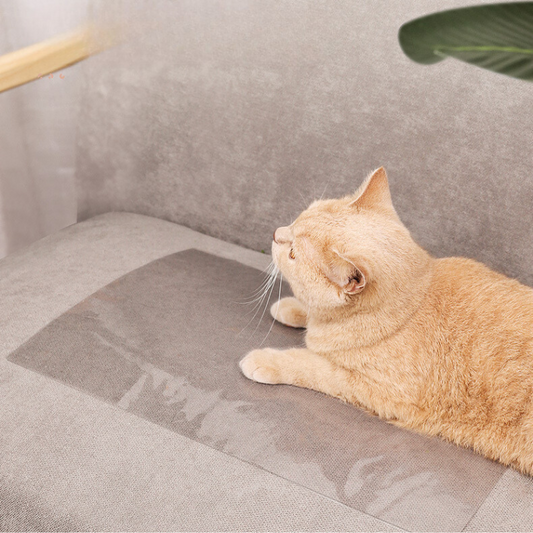 Clear Cat Couch Shield: Ultimate Scratch Defense