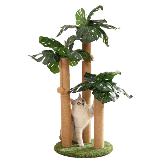 Whisker Wonderland | Ultimate Cat Playground