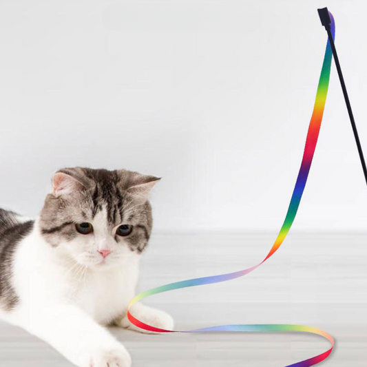 Vibrant Rainbow Wand Teaser for Cats
