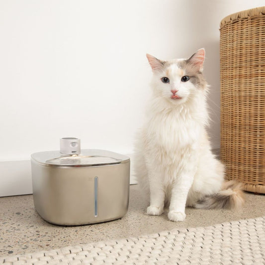 Smart Cat Water Fountain