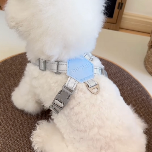 No-Pull Harness for Small & Medium Dogs