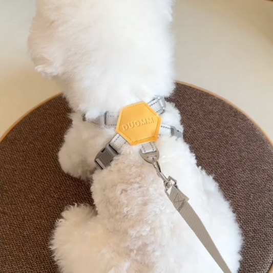 No-Pull Harness for Small & Medium Dogs