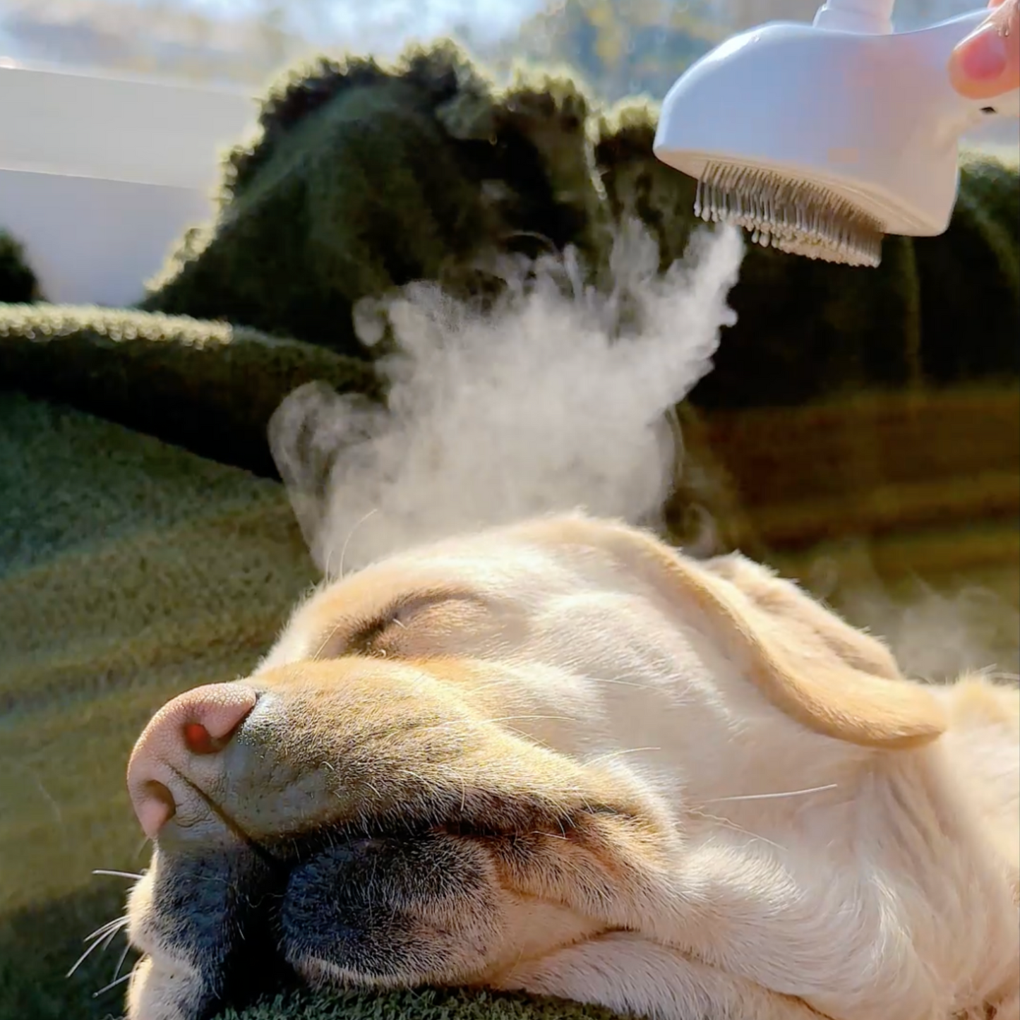 Purr-fect Mist 4-in-1 Steam Grooming Brush