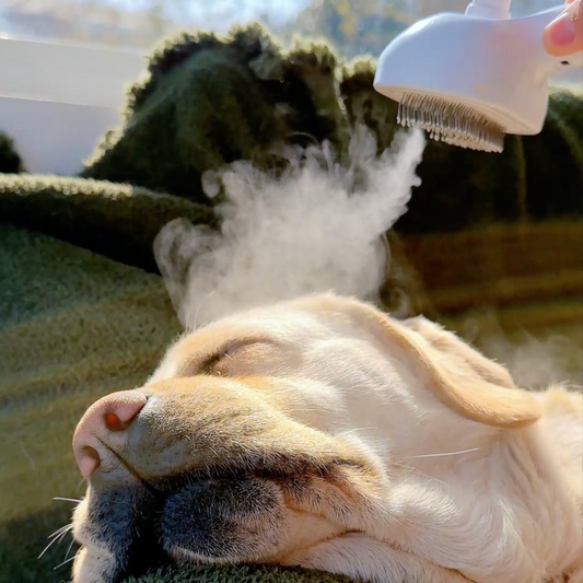 Purr-fect Mist 4-in-1 Steam Grooming Brush