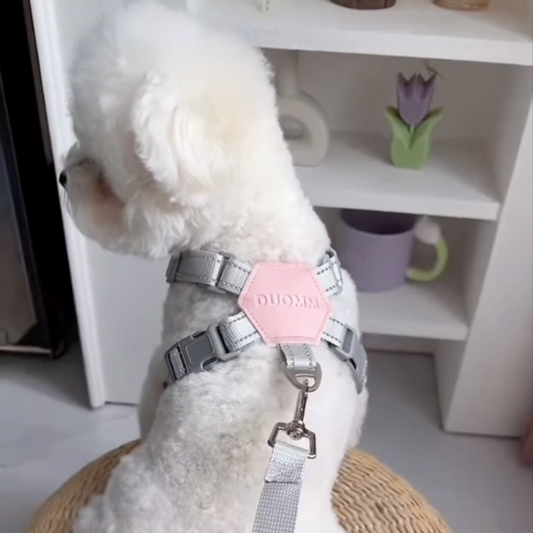 No-Pull Harness for Small & Medium Dogs