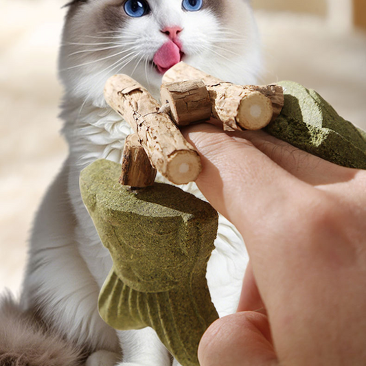 Wooden Catnip Fish Bone Teething Stick for Felines