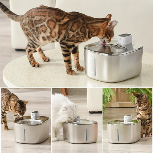 Smart Cat Water Fountain