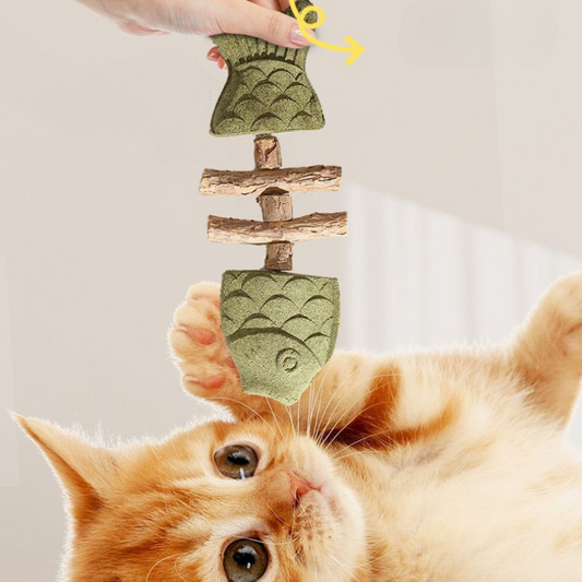 Wooden Catnip Fish Bone Teething Stick for Felines