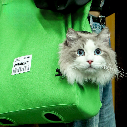 Stylish Cat Carrier Tote for Walks and Adventures
