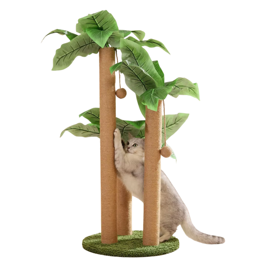 Whisker Wonderland | Ultimate Cat Playground