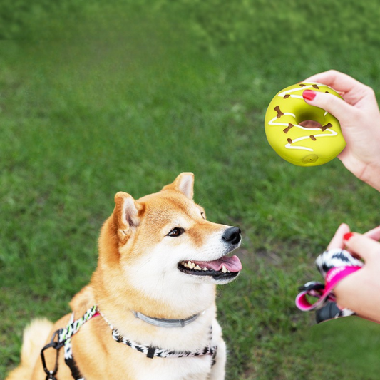 Unbreakable Donut-Shaped Chew Toy for Happy Dogs