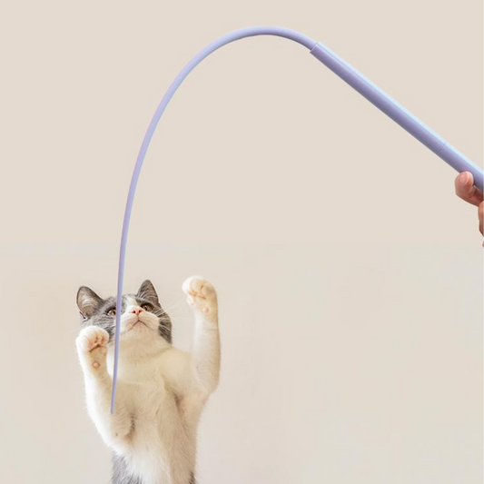 Engaging Silicone Teaser Toys for Playful Cats