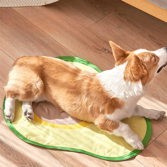 Chill Out Dog & Cat Cooling Mat for Summer Comfort