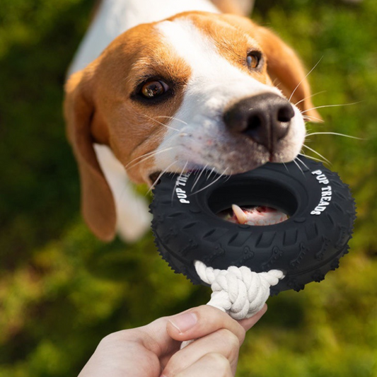 Ultimate Tugging and Chewing Toy for Dogs