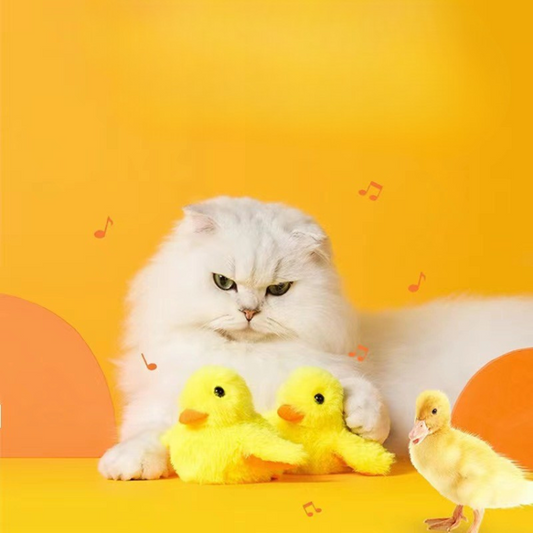 Joyful Duck Plush Toy for Cats