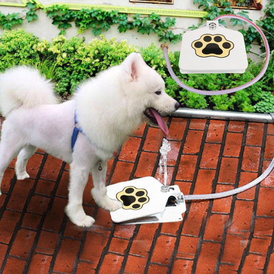 Paw Pump Outdoor Dog Water Fountain