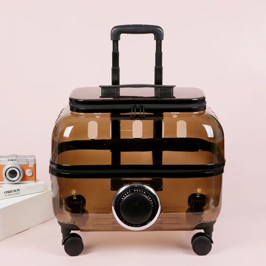 Stylish Transparent Cat Roller Backpack for Easy Travel