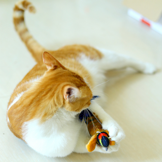 Engaging Interactive Cat Toy with Realistic Bird Sounds & Feathers