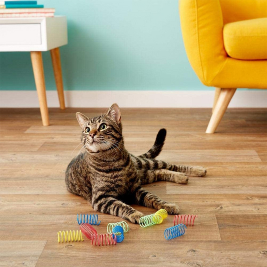 Vibrant Spring Toys for Your Playful Cat's Adventures