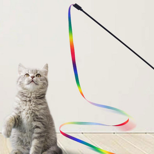 Vibrant Rainbow Wand Teaser for Cats