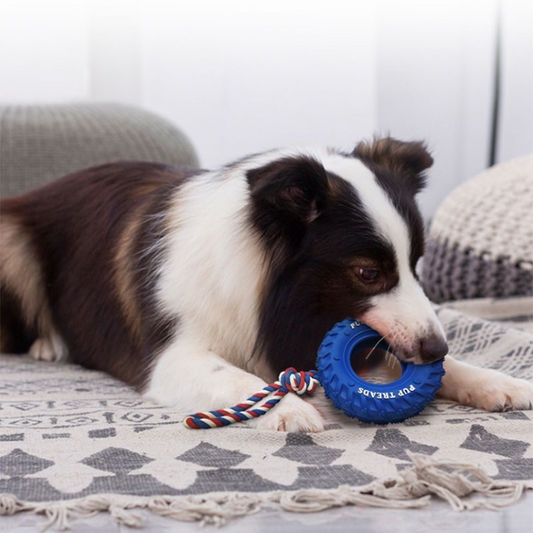 Ultimate Tugging and Chewing Toy for Dogs