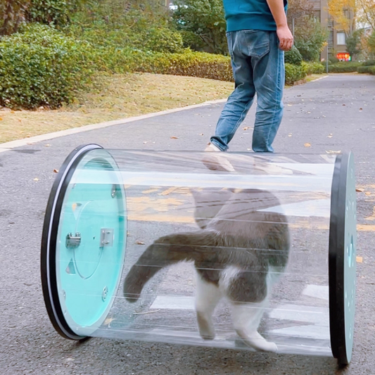 Clear View Rolling Cat Carrier for Adventurous Kitties