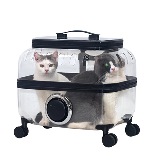 Stylish Transparent Cat Roller Backpack for Easy Travel