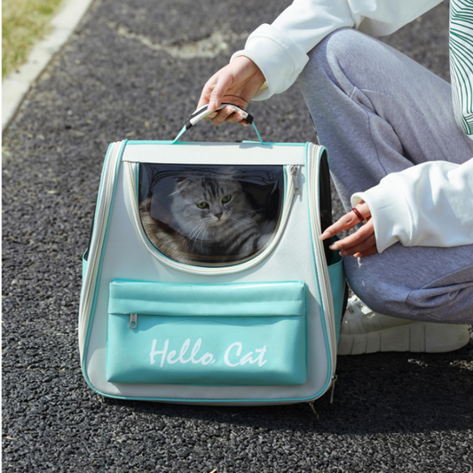 Outdoor Adventure Cat Backpack: Windproof and Comfy