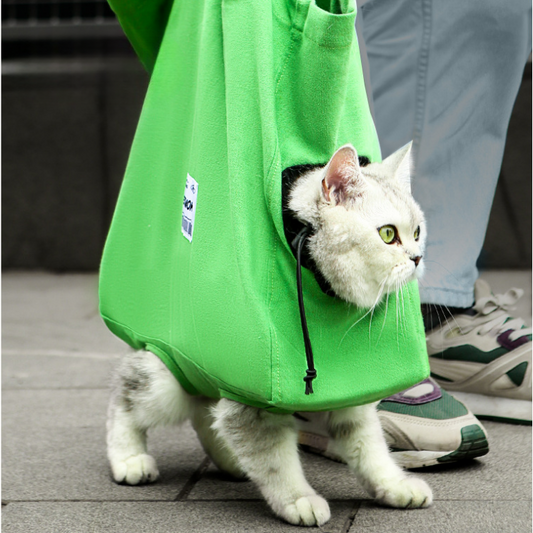 Stylish Cat Carrier Tote for Walks and Adventures