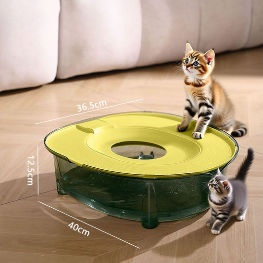 Ultimate Toilet Training Kit for Cats - Say Goodbye to Litter Boxes