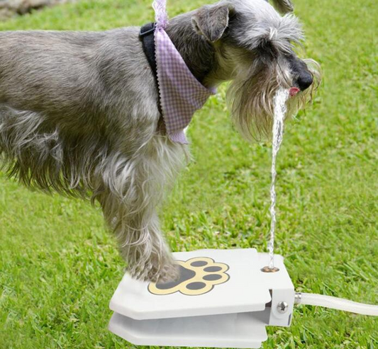 Paw Pump Outdoor Dog Water Fountain