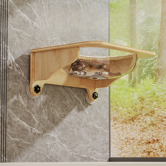 Chic Cat Window Lounge for Stylish Napping